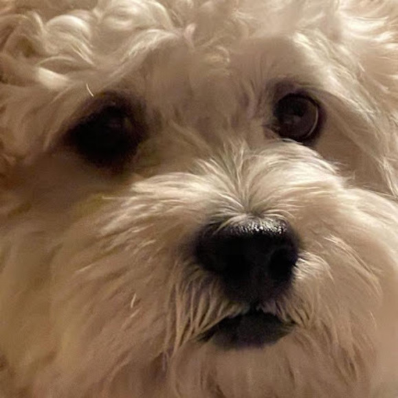 Meet your Posher, Ney - Picture 1 of 1